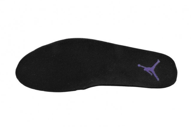 Rep MAX Air Field Jordan Retro 12 CT8013-057 Purple 0713